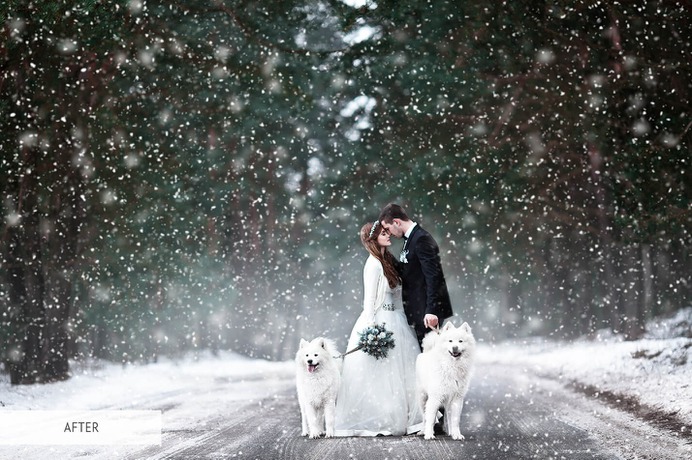 Wedding Pack Light