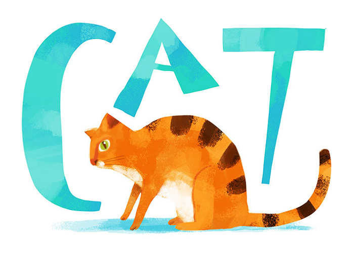 #illustration