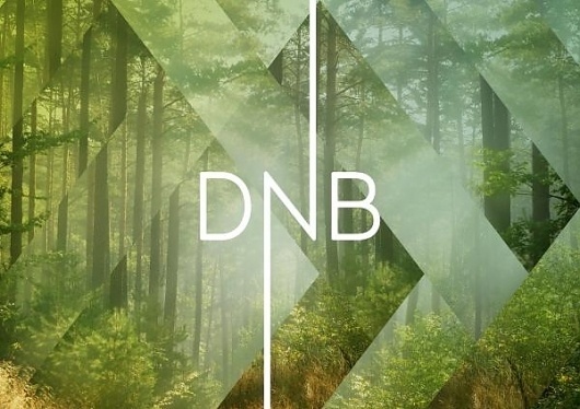 Snohettadesign #logo #snohetta #dnb #identity