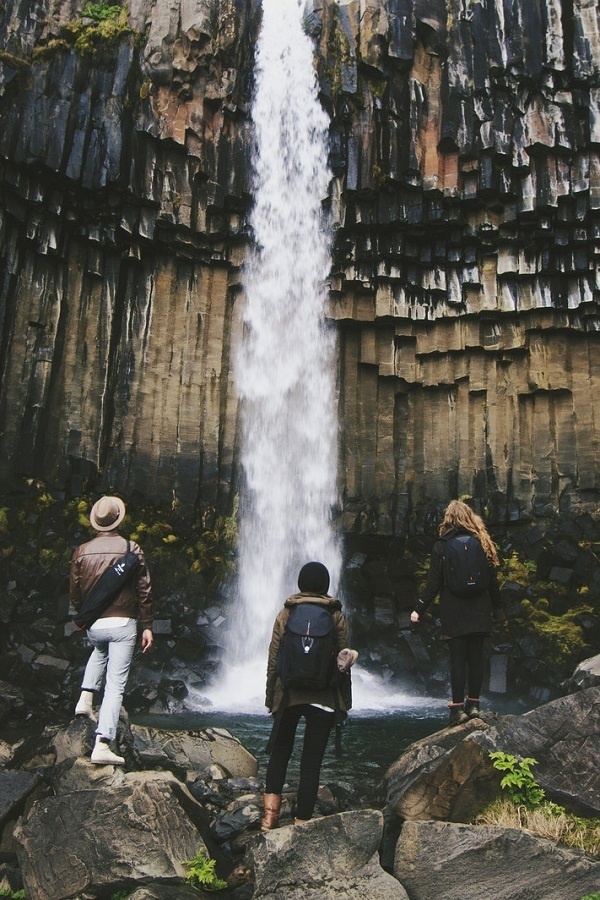 Svartifoss Waterfall / Southern Iceland. #photography #waterfall
