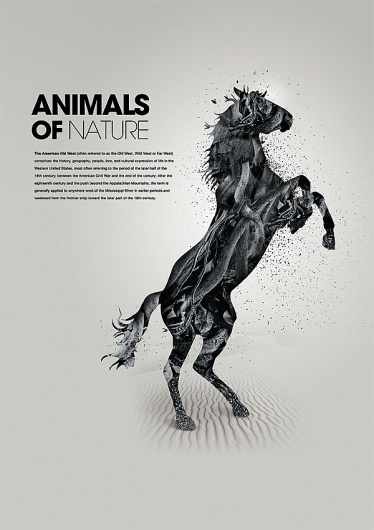 Animals of nature on the Behance Network #horse #minimal #poster #animal #typography