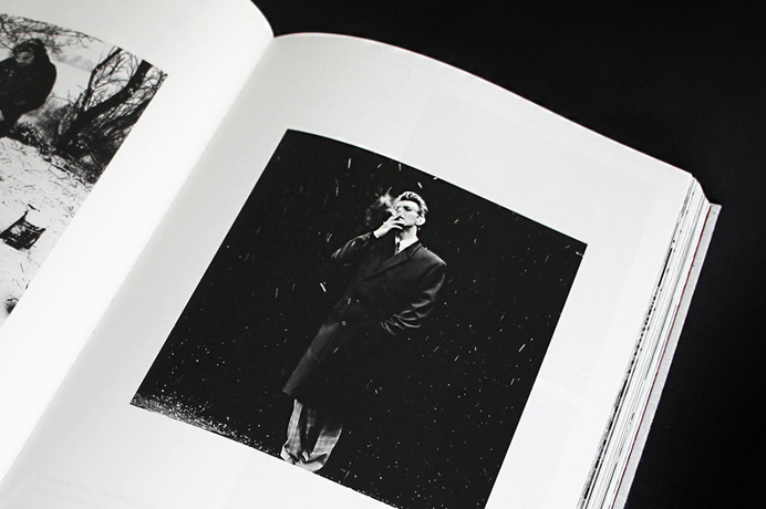 bowie, music, photo, book