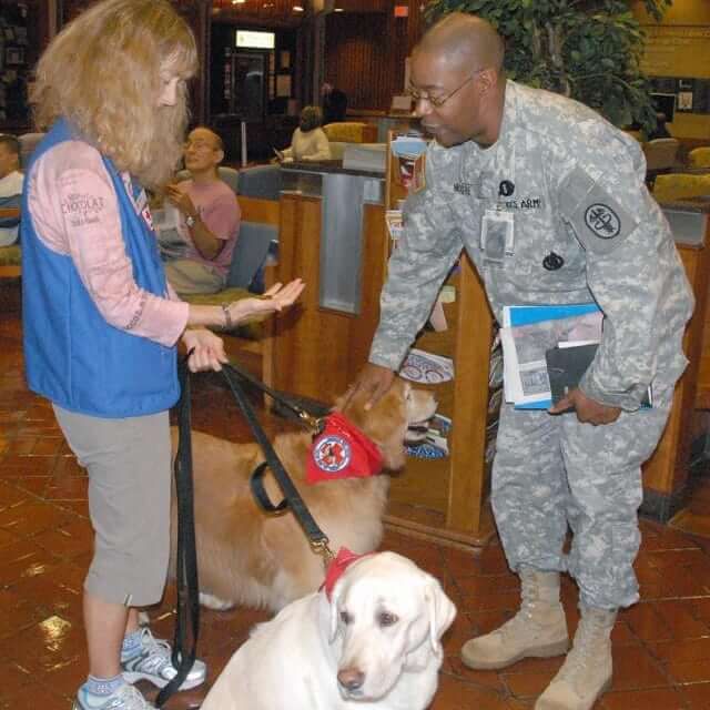 Most Dog Friendly Stores in America - Radio Shack