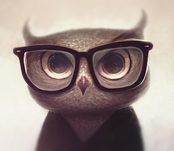 Nerdy Owl by vincenthachen on deviantART #digital #illustration #painting
