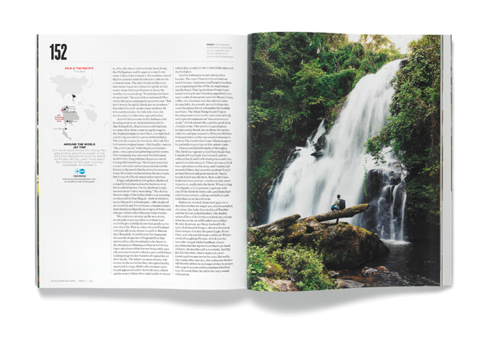 Spreads, layout, magazine