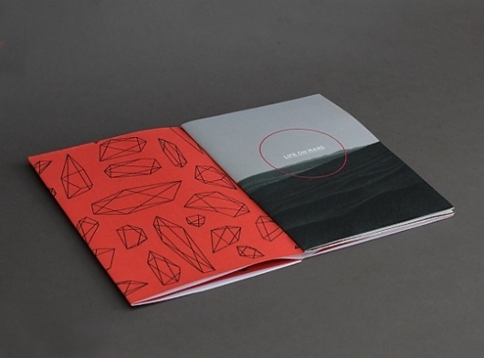 Life on Mars, Peter Borg's Portfolio #print #book