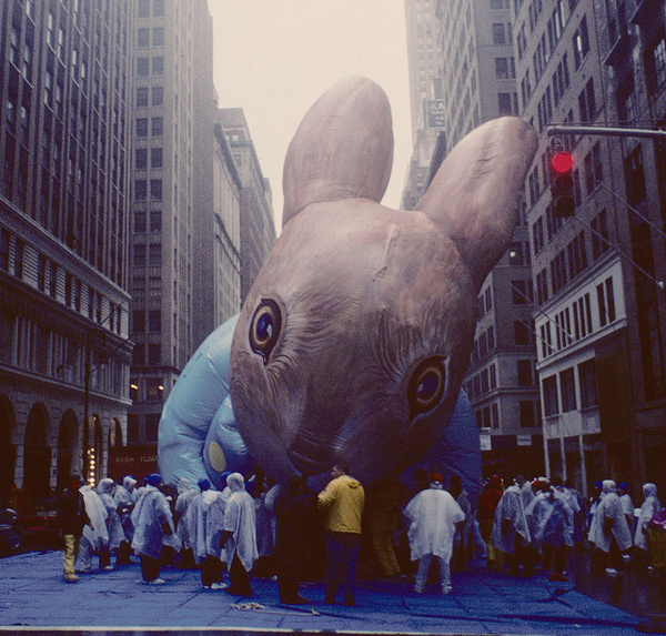 by stevensiegel260 #big #rabbit #installation