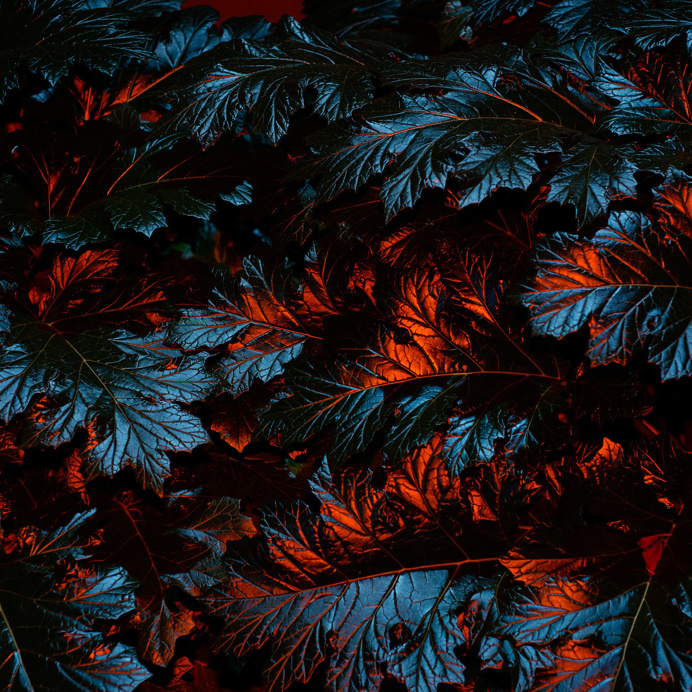 color