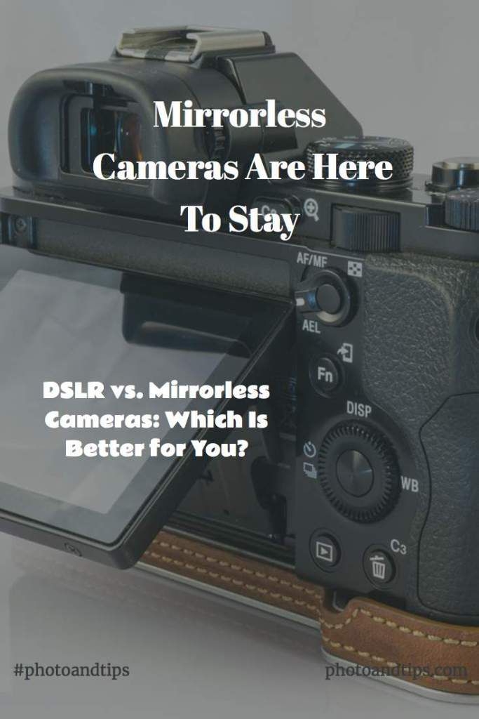 Mirrorless Cameras Systems Are Here To Stay