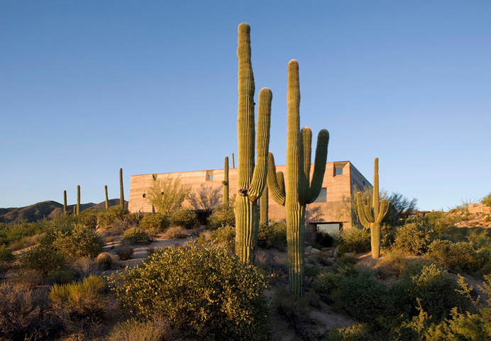 wendell burnette architects desert courtyard house designboom