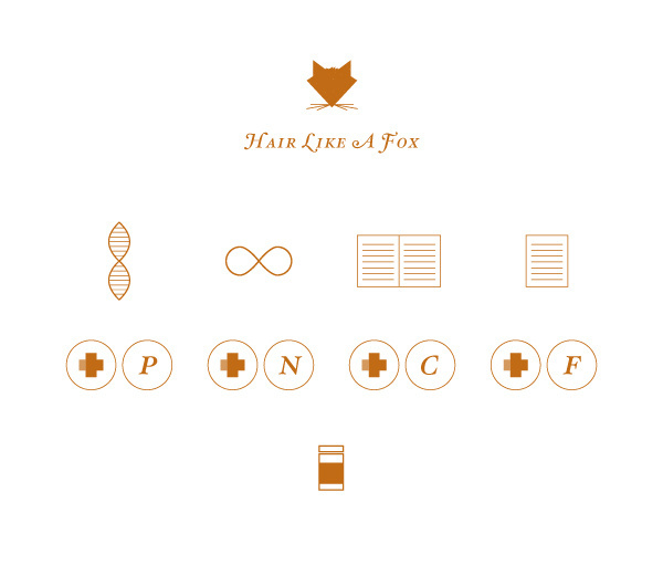 Nick Sickelton #nick #vector #foxes #fox #design #graphic #book #books #sickelton #cover #illustration #nicksickeltoncom