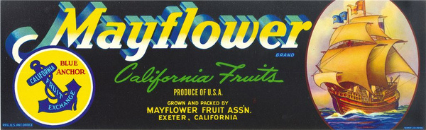 photo #type #vintage #label