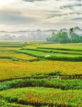 Best Places to Travel in 2018 by month - Travel Calendar 2018 | Rove.me