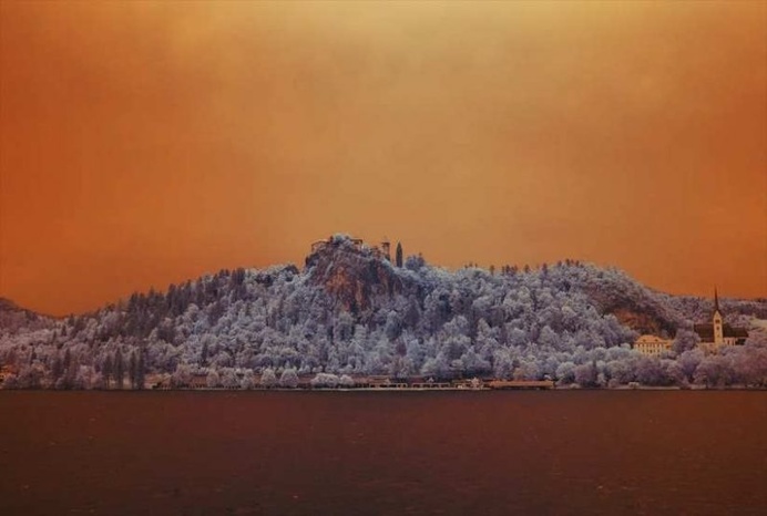Surreal Infrared Nature Photography by Bradley G Munkowitz