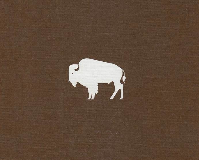buffalo illustration #brown #illustration #buffalo