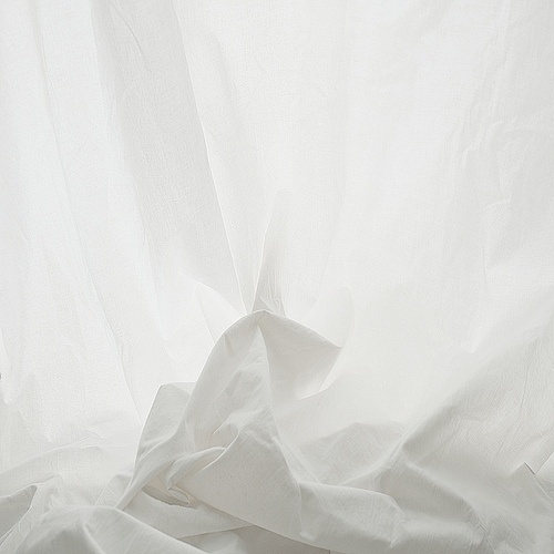 STE△L EVERYTHING #photography #white