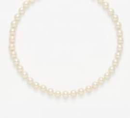 Akoya Cultured Pearl Necklace
