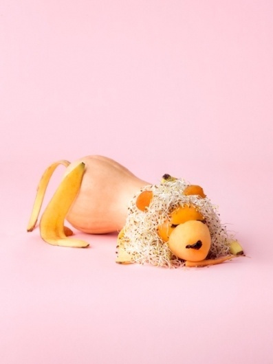 Carl Kleiner #lion #faces #food