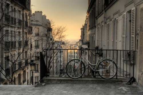 The Black Workshop #view #bike