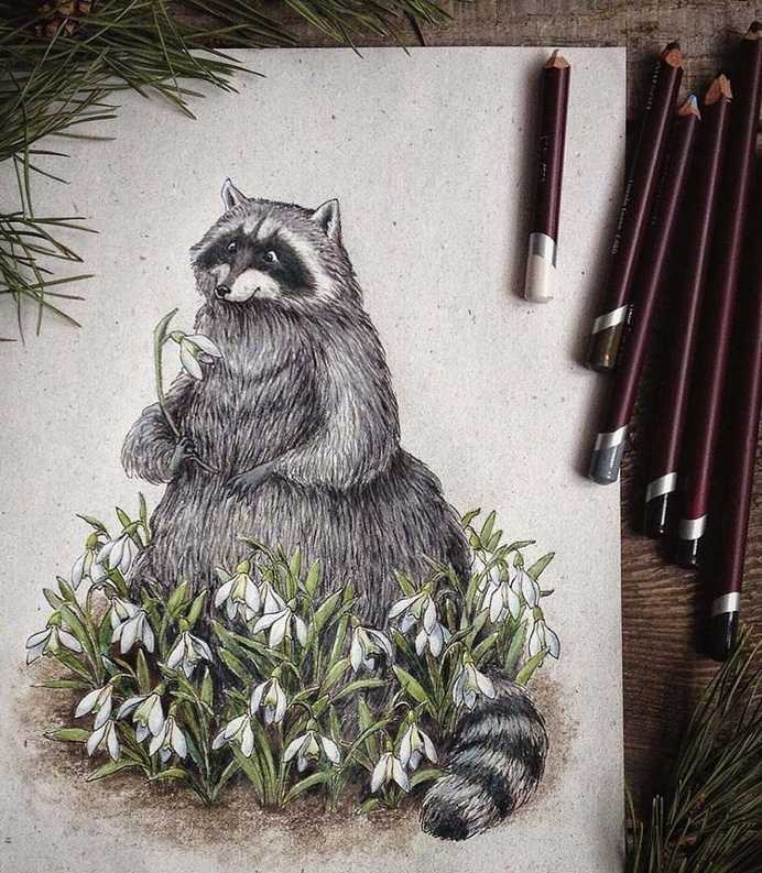 Color Pencil Drawings