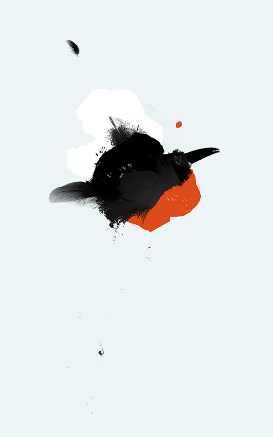 Forest Drama, Rework III #color #red #bird