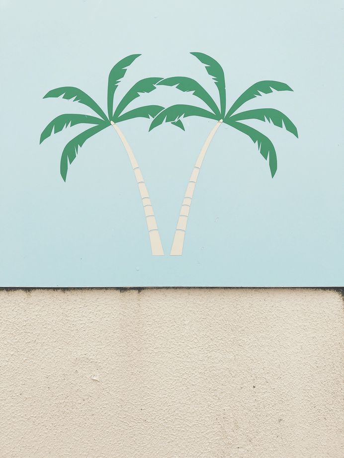#island #texel #netherlands #roadtrip #afterbeach #palmtrees PHOTOGRAPHIE © [ catrin mackowski ]