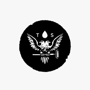 bird, eagle, badge, logo