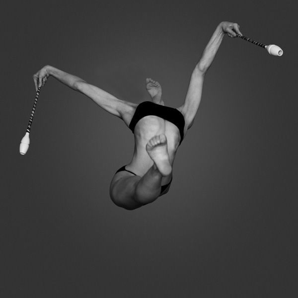 Howard Schatz
