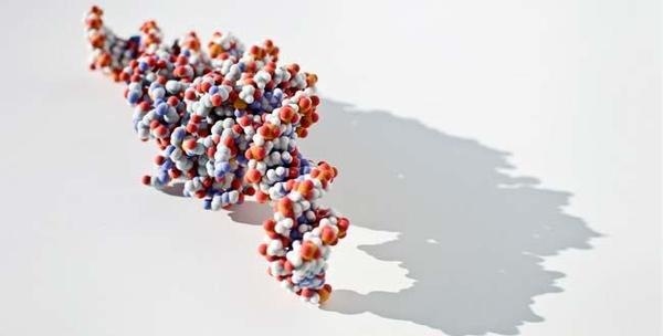 Google Afbeeldingen resultaat voor http://www.rnw.nl/data/files/imagecache/must_carry/images/lead/teaser gen.jpg #genetics #dna