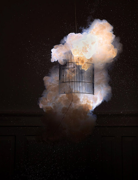 Photobucket #bird #dark #explosion #burn #fire #cage #pyrotechnique