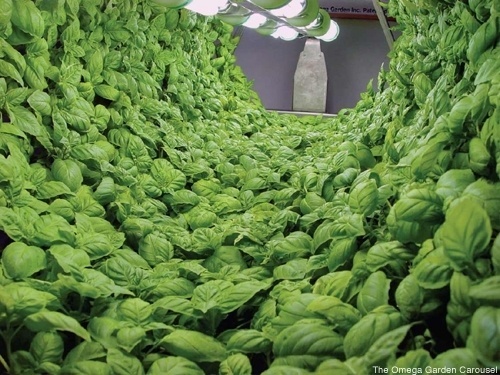 dvisible magazine | Exploring our Creative World » Architecture #plants