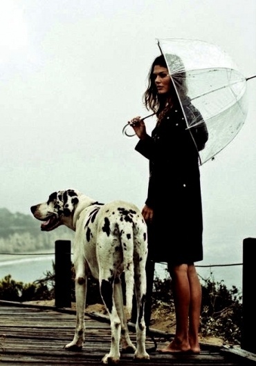 Sara Lindholm #photography #rain #female #dog