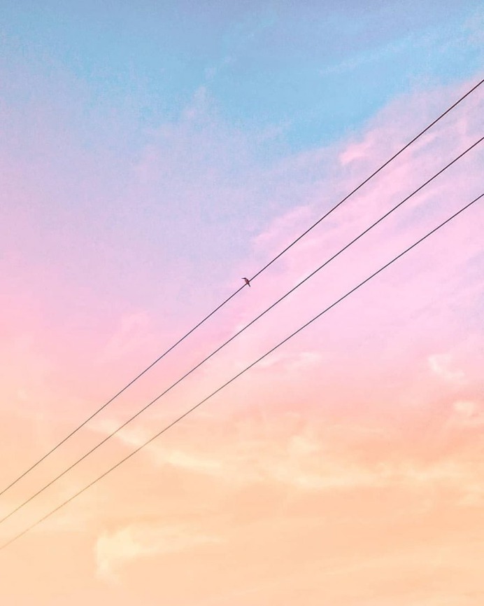 Creative and Colorful Minimalist Photography by Roynaldi Saputra