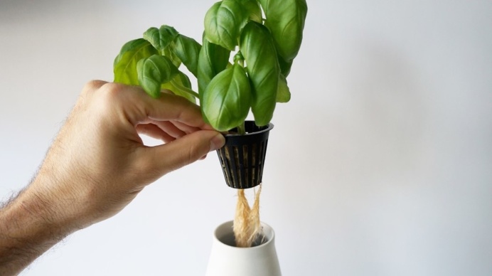 Grow Green : Self Watering Plant