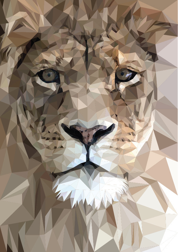 Vector animal illustrations