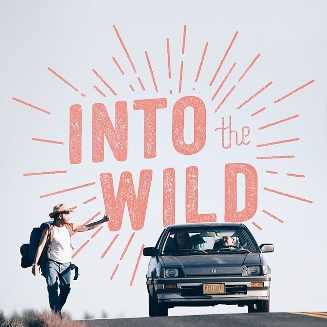 Into The Wild #type #handlettering #typography
