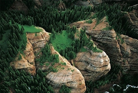 FFFFOUND! #nature #trees #landscape