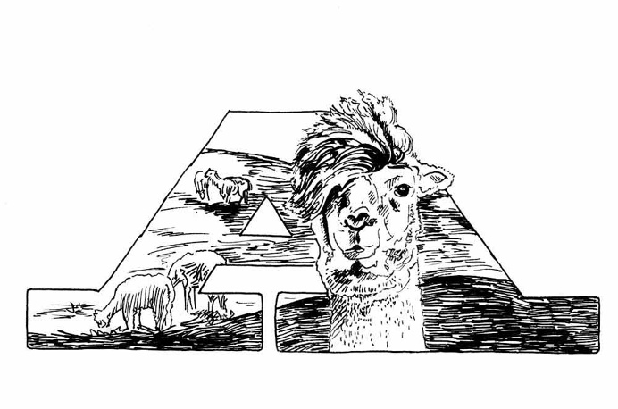 Alpaca Micron Drawing #alpaca #letter #drawing #A