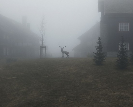 Thomas Chéné | Fubiz™ #deer #fog