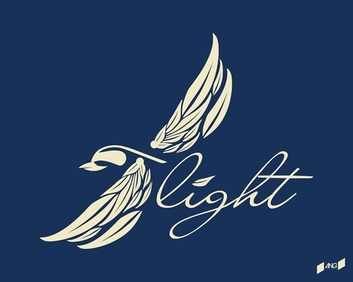 | -F L I G H T- design I made while listening too... #flight