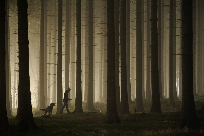 Sebastian Łuczywo #photo #forest #walk