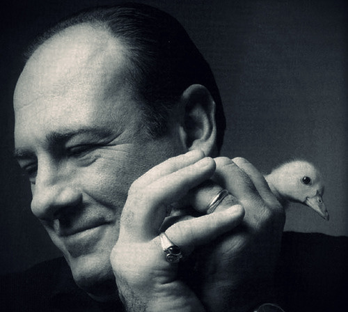 this isn't happiness™ photo caption contains external link #film #white #hands #black #james #photography #and #duckling #gandolfini