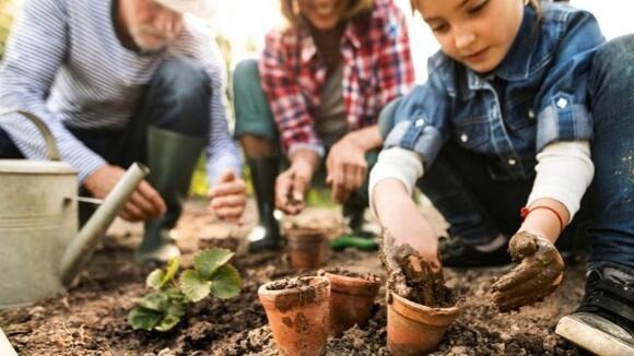 Gardening Design Trends That Can't Be Ignored