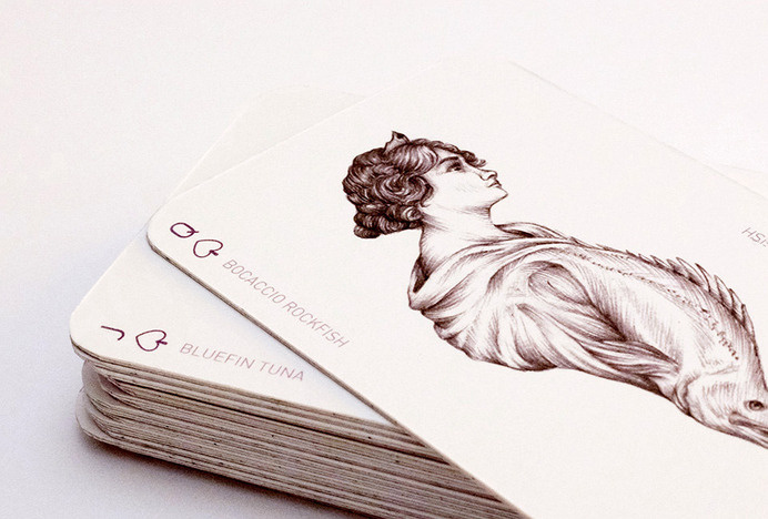 Kristelle De Freitas — WWF Playing Cards #card #design #playing #product #art #queen