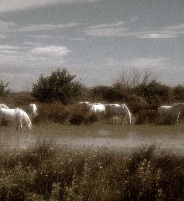 Photography by Robert Farber #inspration #photography #art