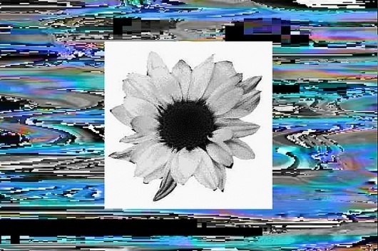 All sizes | flower | Flickr - Photo Sharing! #jpg #collage #glitch #weird