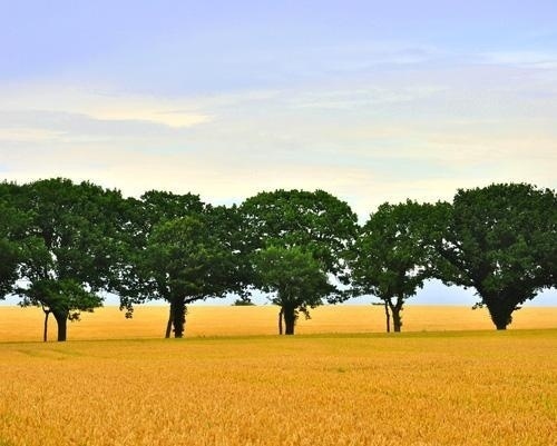 Landscape Photography by Christian Estmann | Professional Photography Blog #inspiration #photography #landscape
