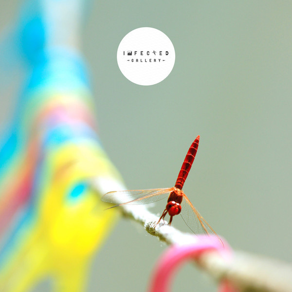 Still #gallery #infected #dragonfly #photography #nature #graphical