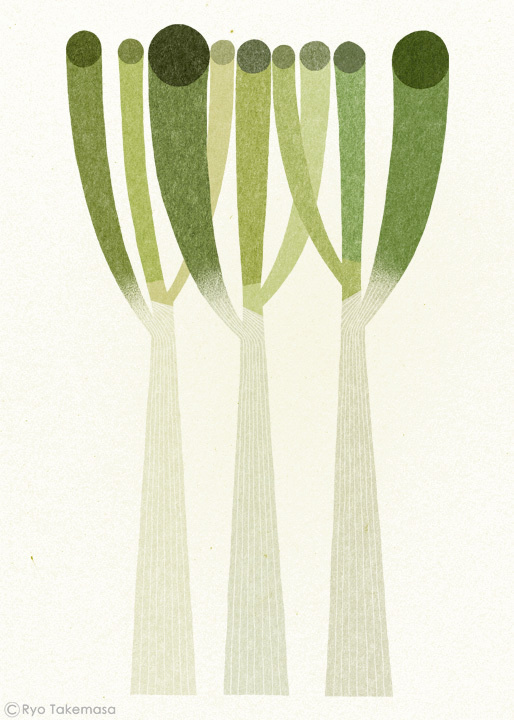武政 諒 Ryo Takemasa | illustration #onion #illustration #welsch #vegetable