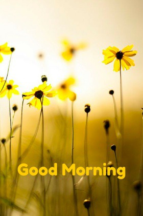 Time to Start the Day: Good Morning Images - Good Morning